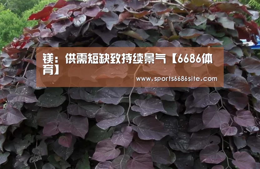 镁:供需短缺致持续景气【6686体育】(图3) 6686体育官网