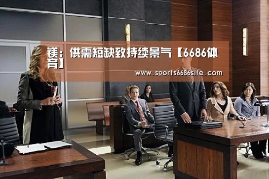 镁:供需短缺致持续景气【6686体育】(图2) 6686体育下载