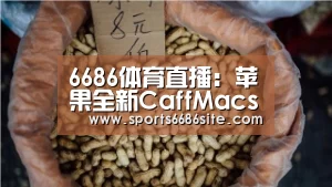 6686体育下载
